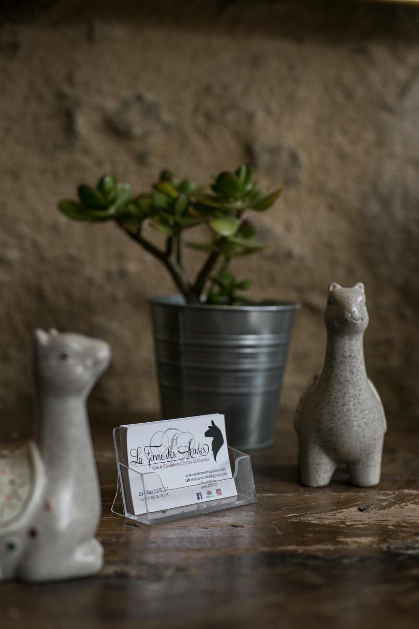 La Ferme Des Andes - Gite L'Atelier Quins Esterno foto