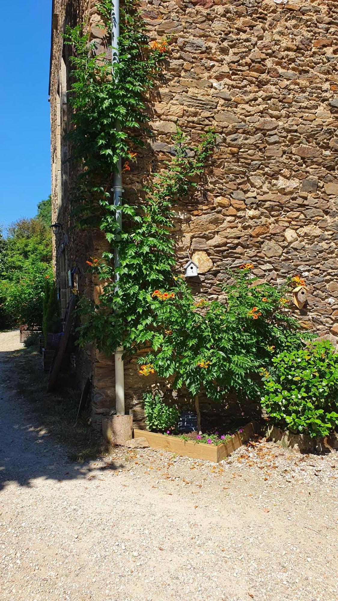 La Ferme Des Andes - Gite L'Atelier Quins Esterno foto