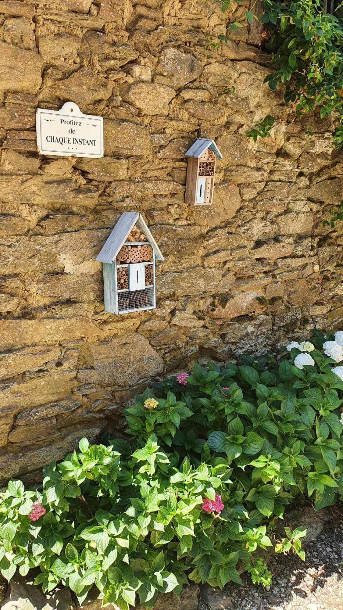 La Ferme Des Andes - Gite L'Atelier Quins Esterno foto