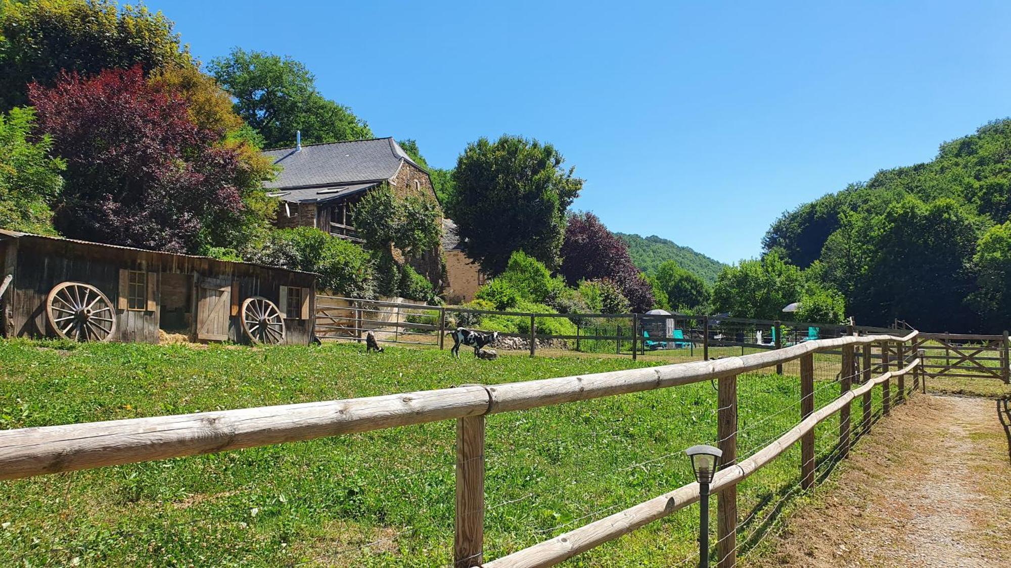 La Ferme Des Andes - Gite L'Atelier Quins Esterno foto