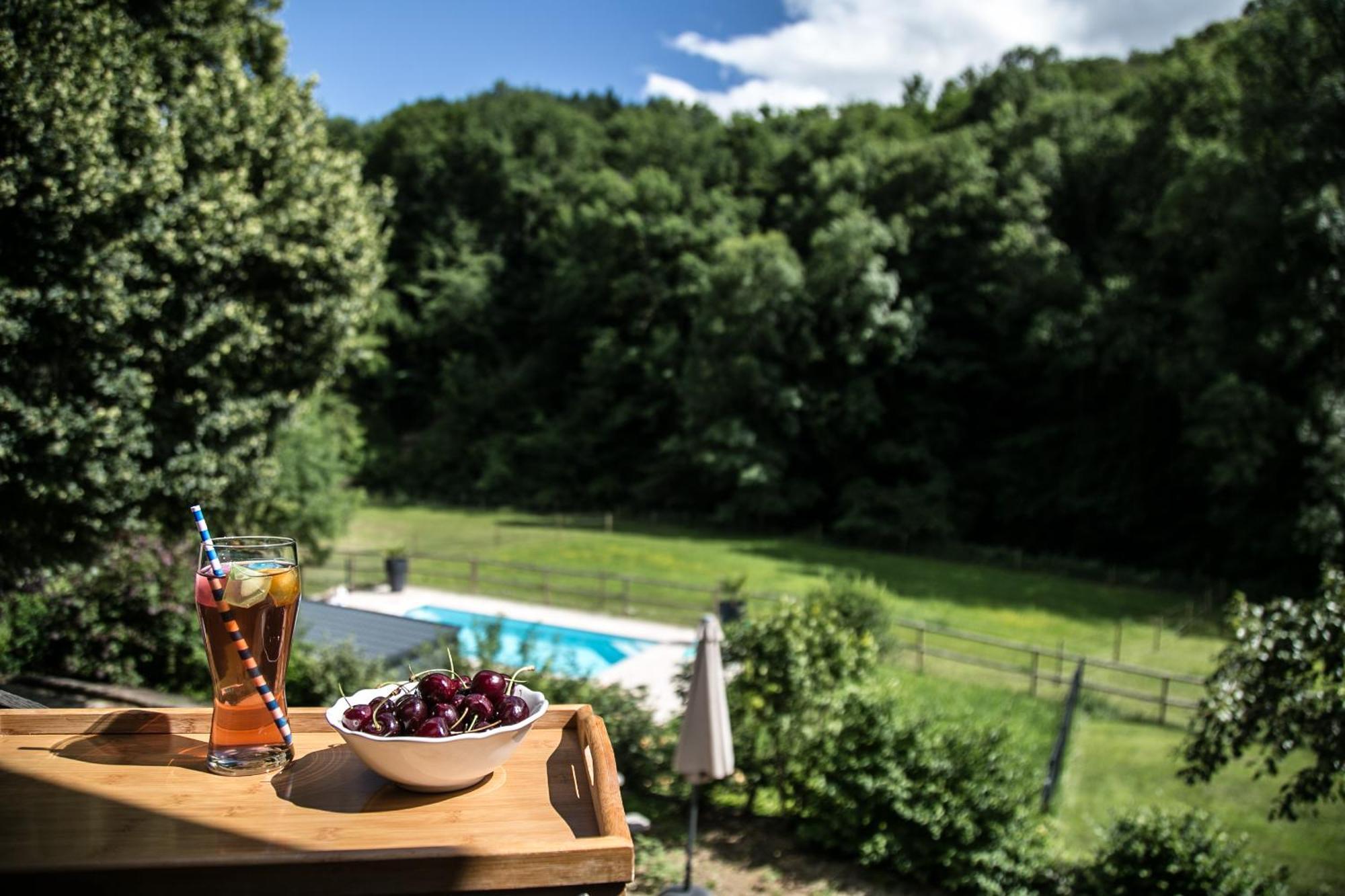 La Ferme Des Andes - Gite L'Atelier Quins Esterno foto