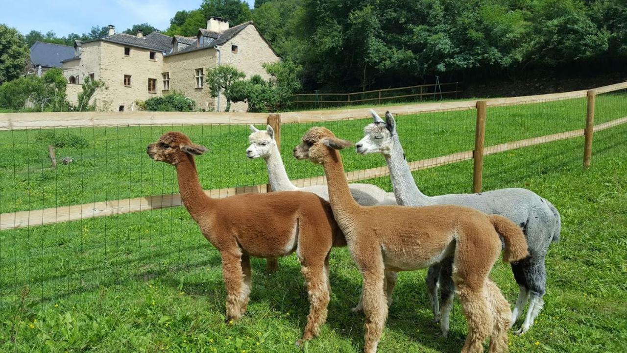 La Ferme Des Andes - Gite L'Atelier Quins Esterno foto