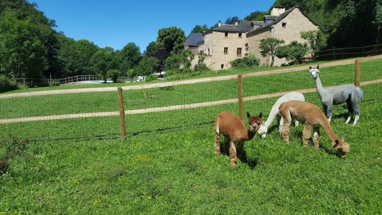 La Ferme Des Andes - Gite L'Atelier Quins Esterno foto