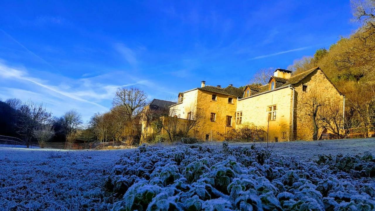 La Ferme Des Andes - Gite L'Atelier Quins Esterno foto