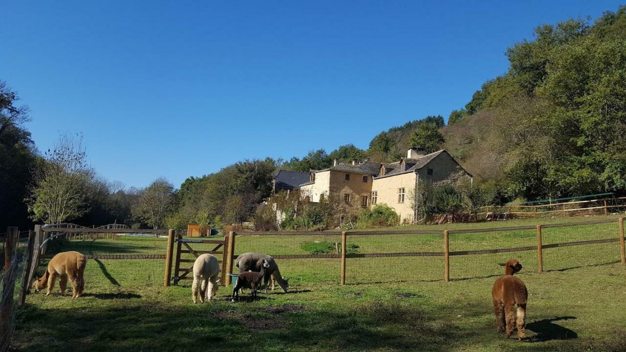 La Ferme Des Andes - Gite L'Atelier Quins Esterno foto